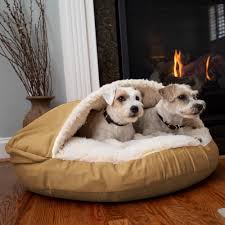 Cozy Dog Bed