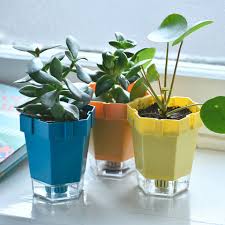 Indoor Plant Pot (Set of 3)